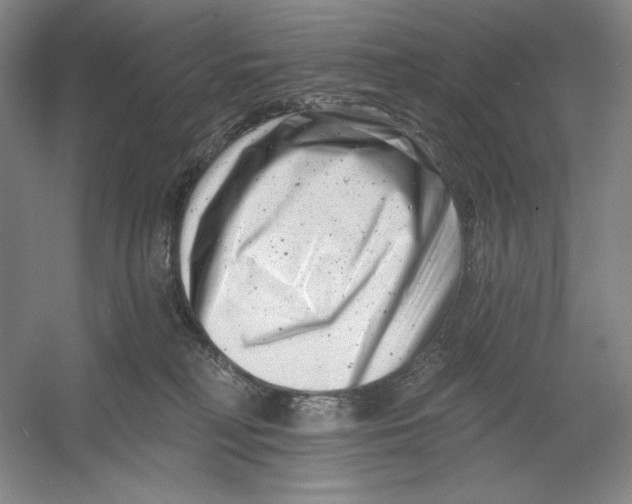 X0000054380230200508270016