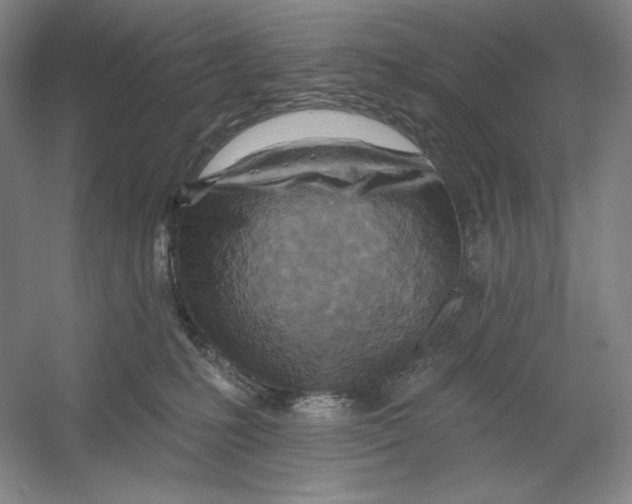 X0000054380231200508270016