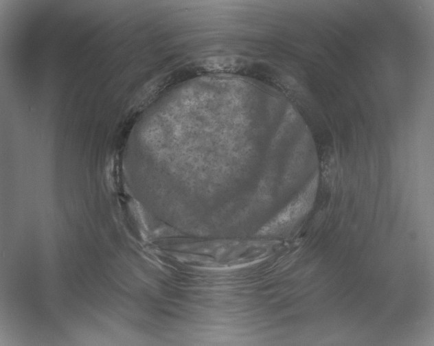 X0000054380233200508270016