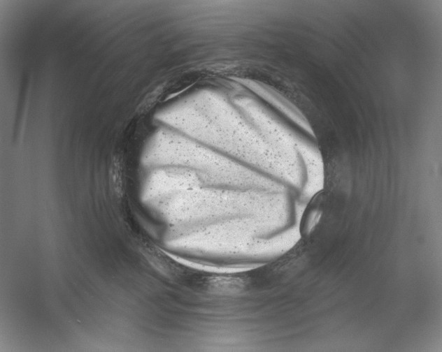 X0000054380234200508270016