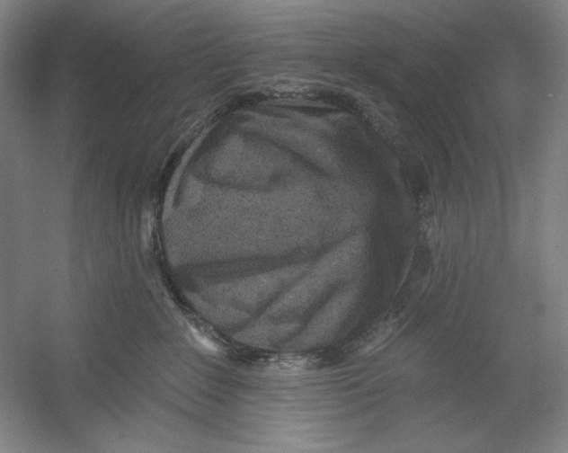 X0000054380235200508270016