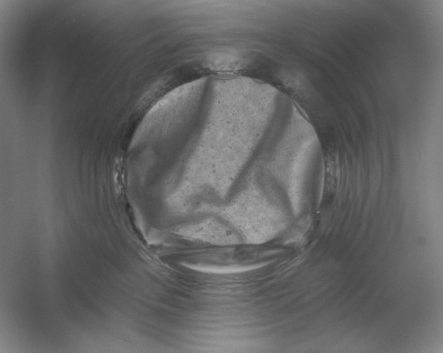 X0000054380237200508270016