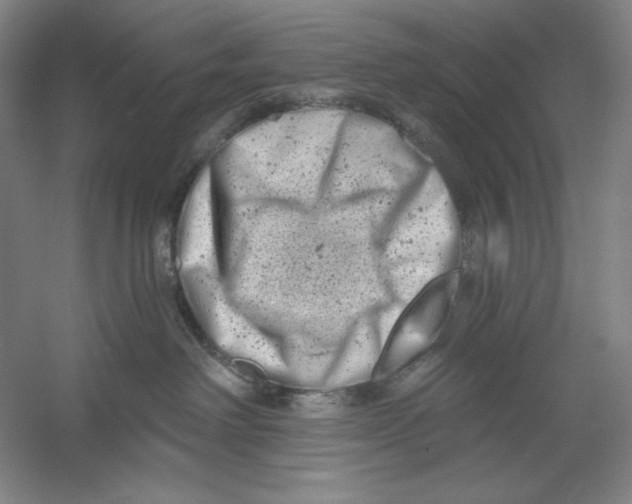 X0000054380238200508270016