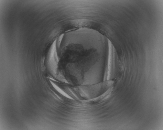 X0000054380239200508270016