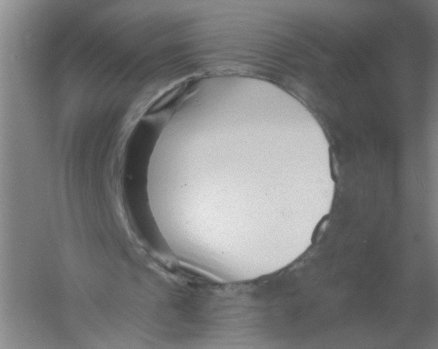 X0000054380241200508270015