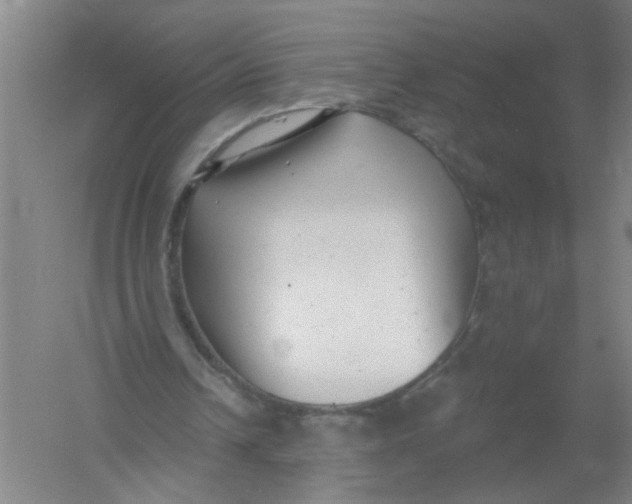 X0000054380242200508270015