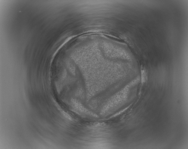 X0000054380243200508270015