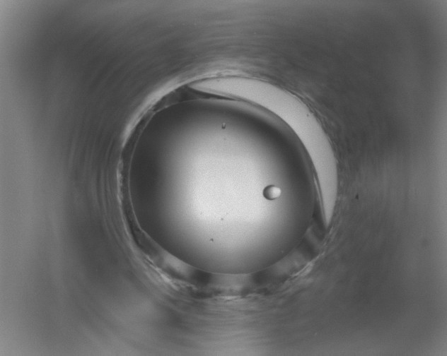 X0000054380244200508270015