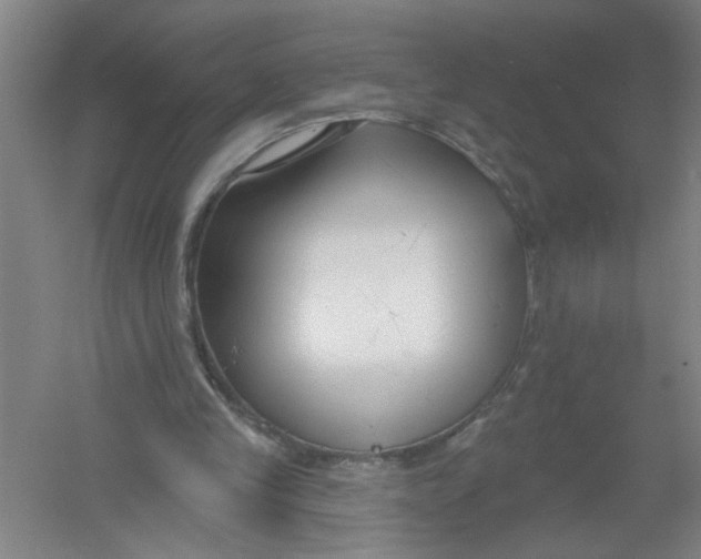 X0000054380245200508270015