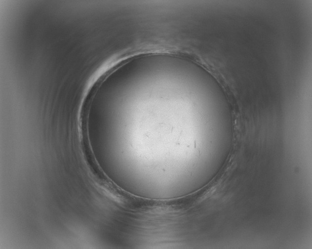 X0000054380246200508270015