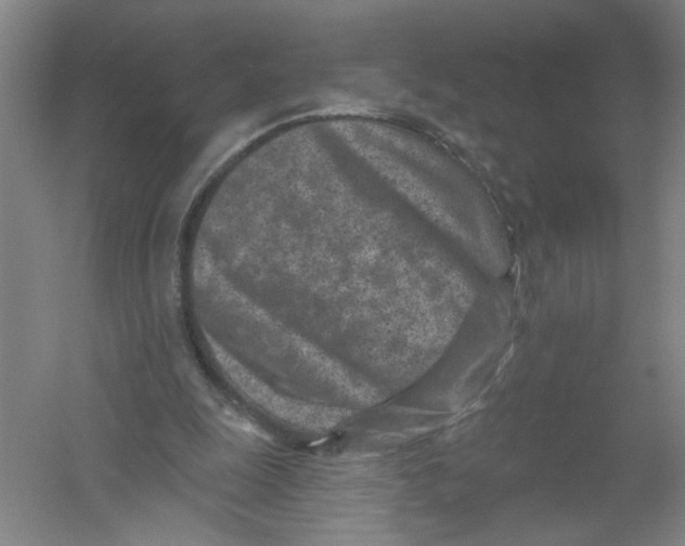 X0000054380247200508270015