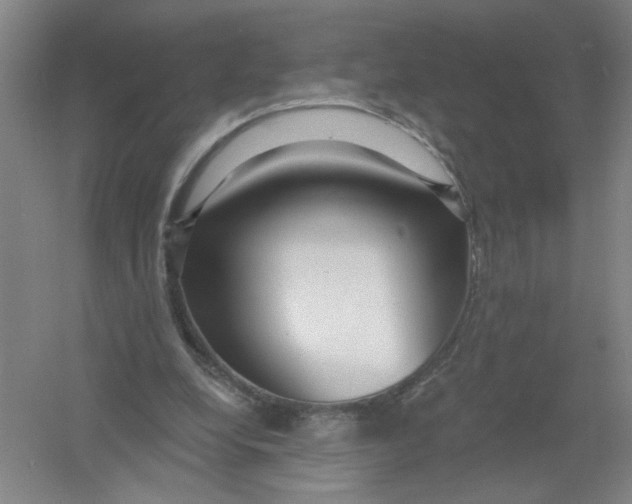 X0000054380248200508270015