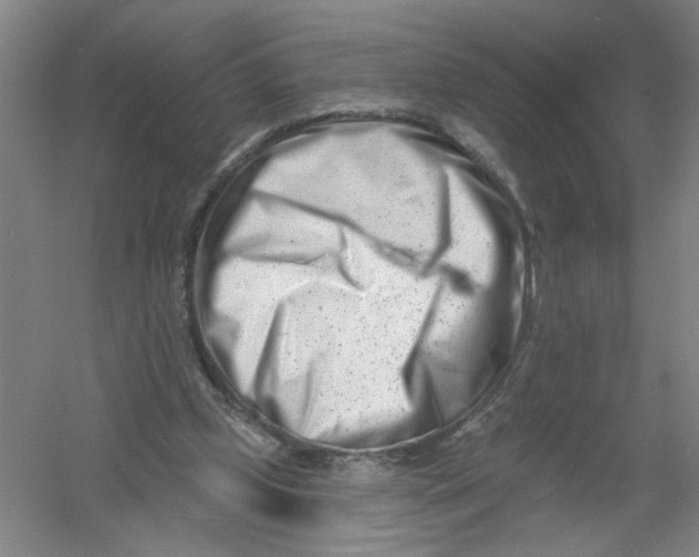 X0000054380249200508270015