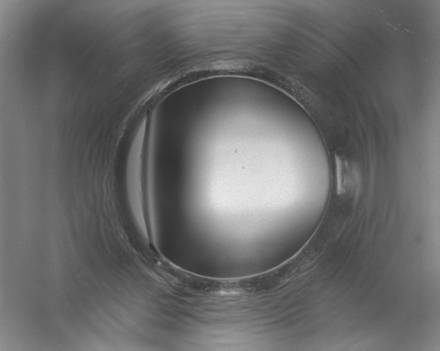 X0000054380252200508270015