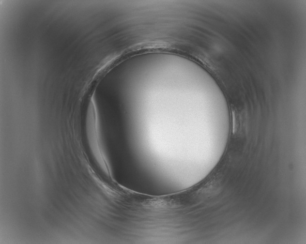 X0000054380253200508270015