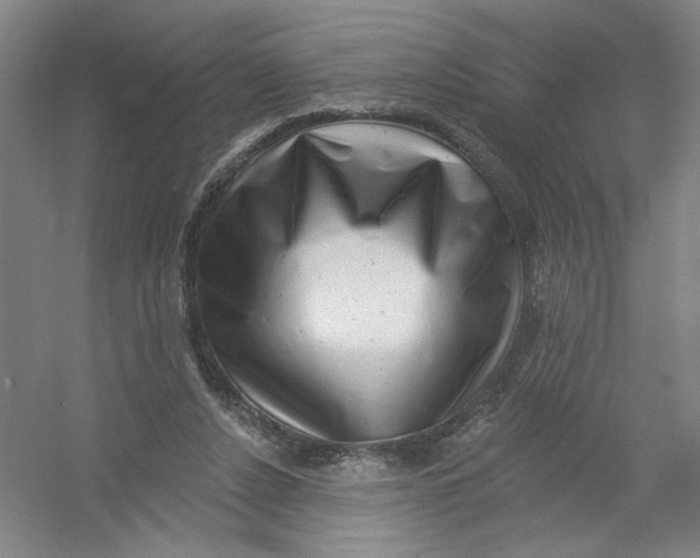 X0000054380256200508270015