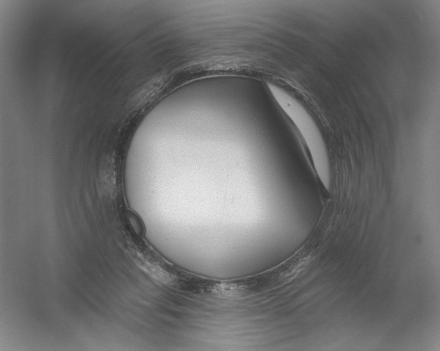 X0000054380261200508270015