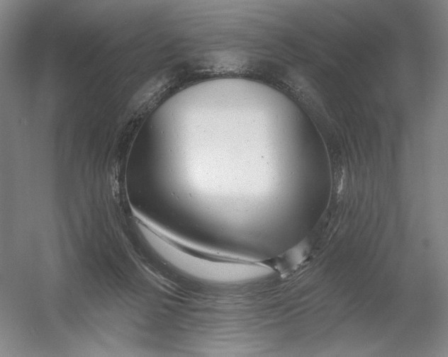 X0000054380264200508270015