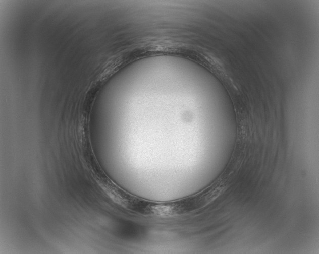 X0000054380265200508270015