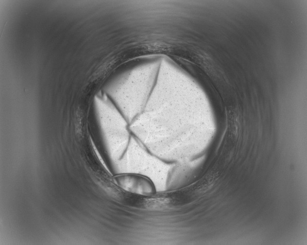 X0000054380266200508270015