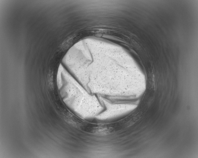 X0000054380267200508270015