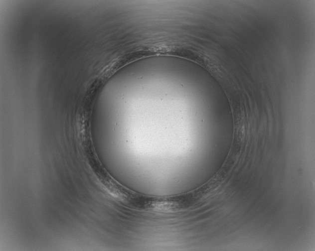 X0000054380268200508270015