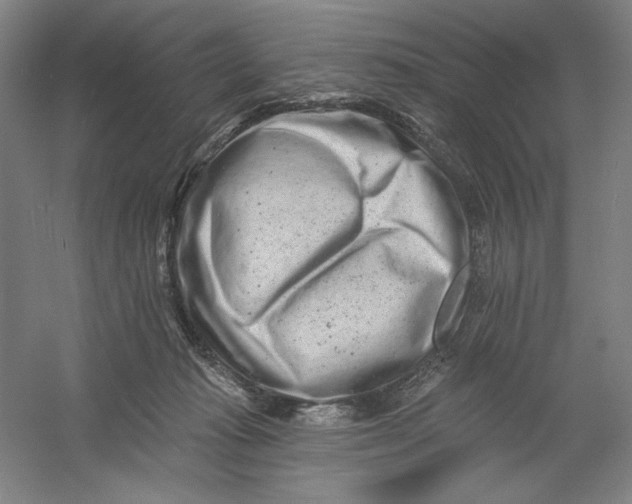 X0000054380269200508270015