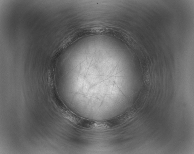 X0000054380270200508270015