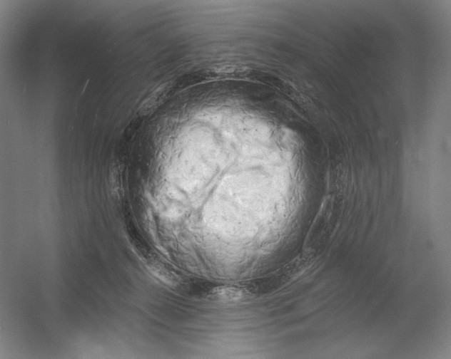 X0000054380272200508270015