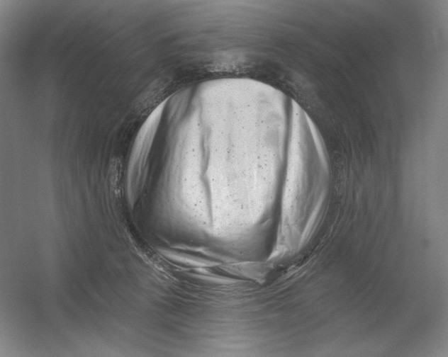 X0000054380273200508270015