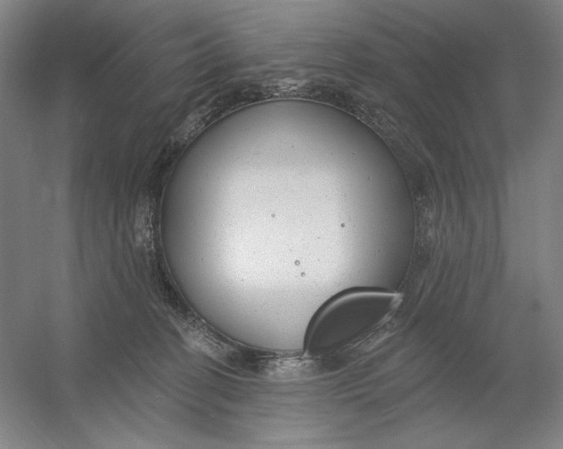 X0000054380274200508270015