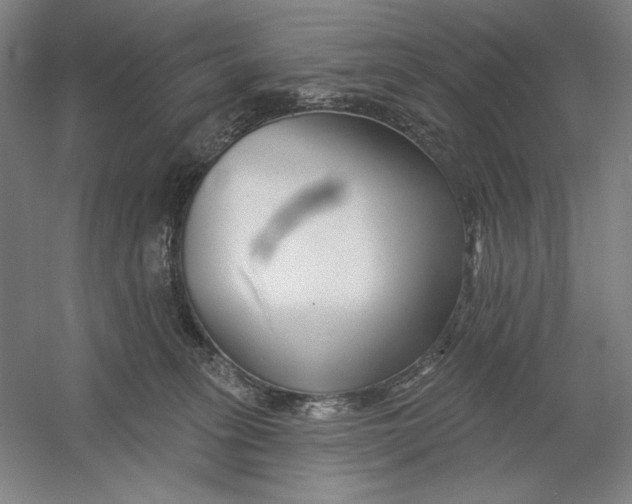 X0000054380275200508270015