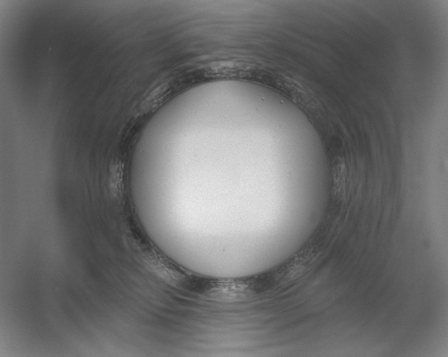 X0000054380278200508270015