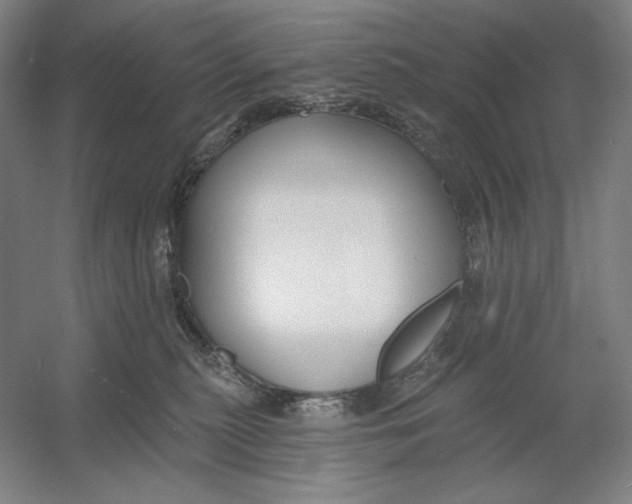 X0000054380279200508270015