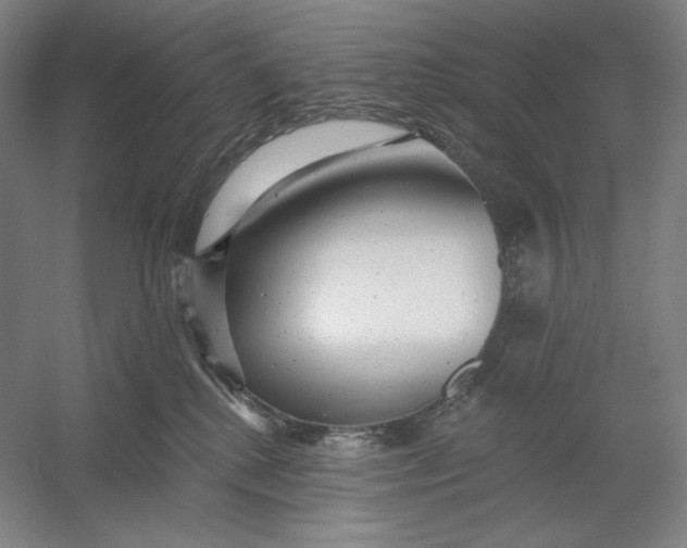 X0000054380280200508270015