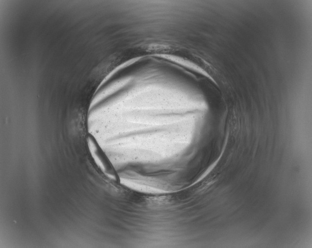 X0000054380281200508270015