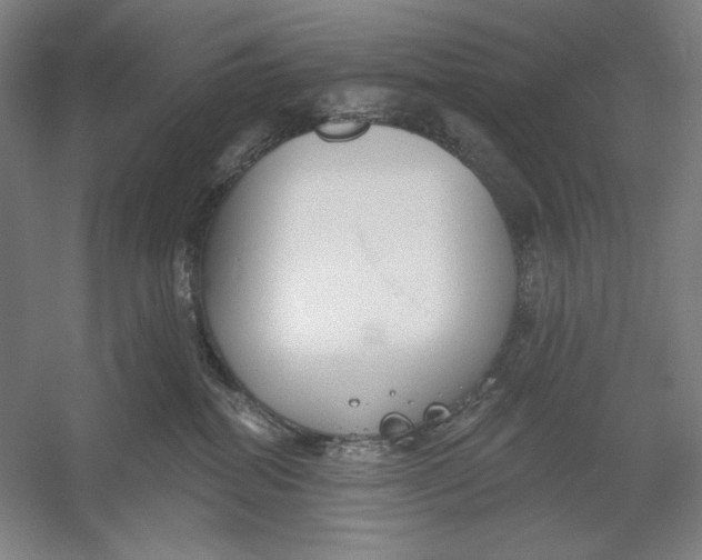 X0000054380282200508270015