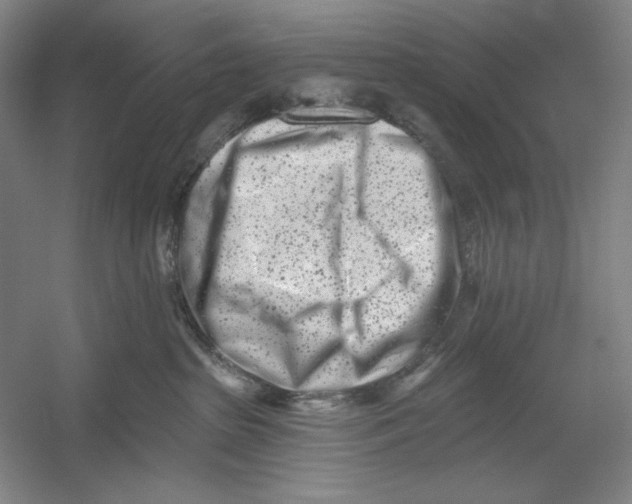 X0000054380285200508270015