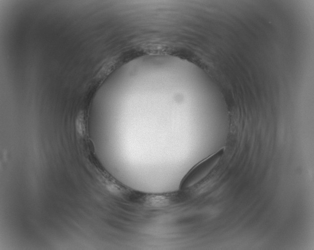 X0000054380287200508270015