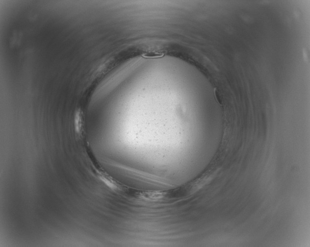 X0000054380288200508270015