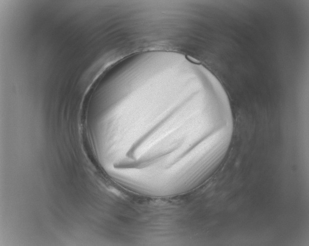 X0000054380290200508270015