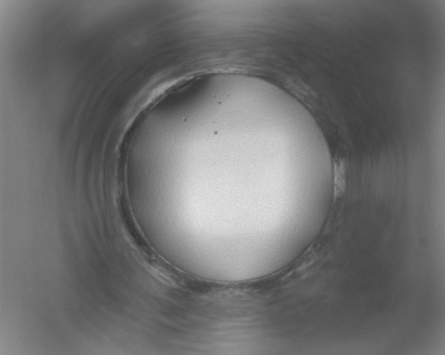 X0000054380291200508270015