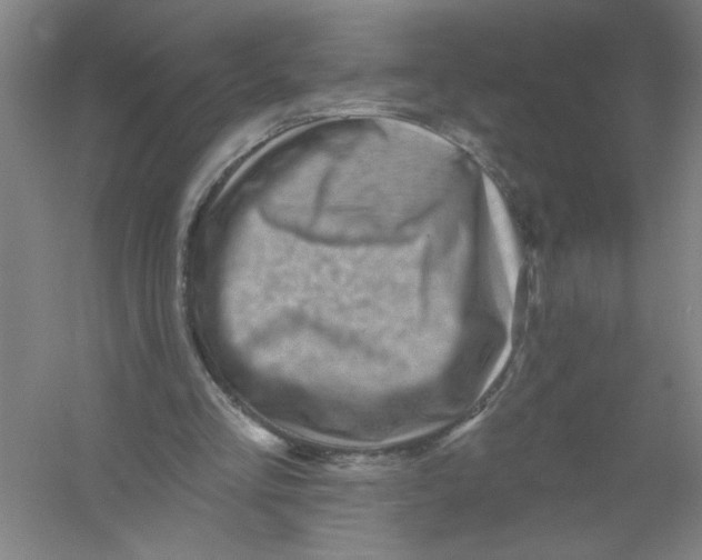 X0000054380293200508270015