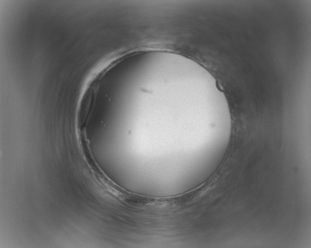 X0000054380294200508270015