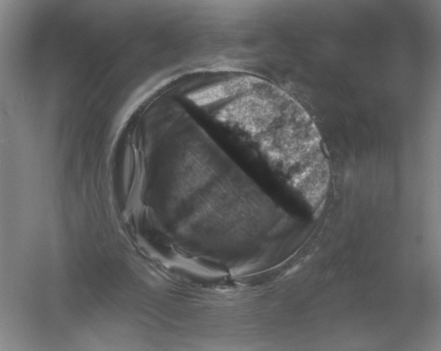 X0000054380295200508270015