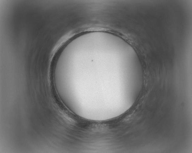 X0000054380296200508270015