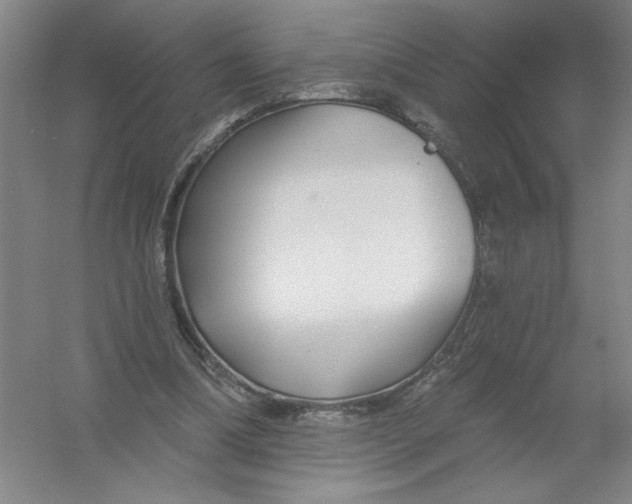 X0000054380298200508270015