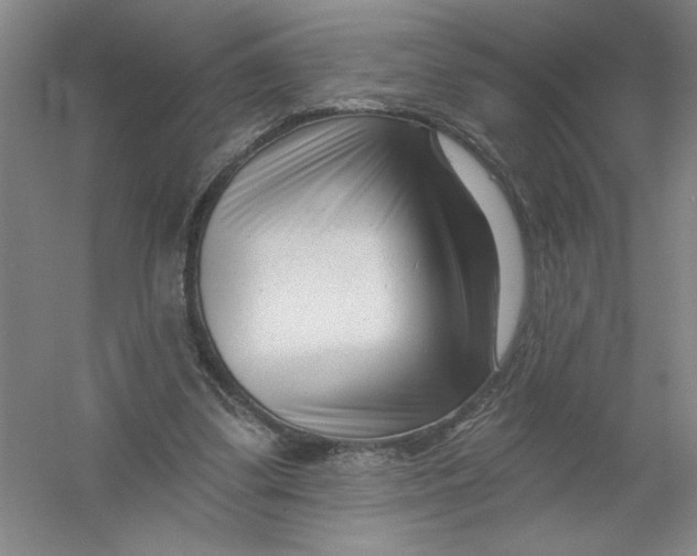 X0000054380299200508270014