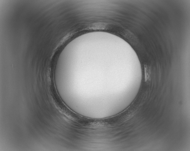 X0000054380300200508270014