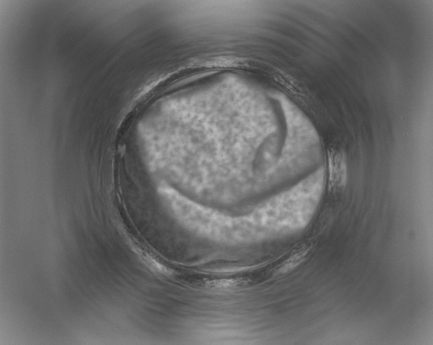 X0000054380301200508270014